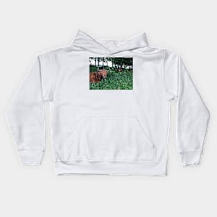 Scottish Highland Cattle Cows 2437 Kids Hoodie